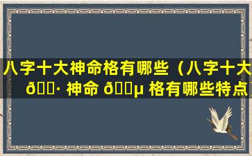 八字十大神命格有哪些（八字十大 🌷 神命 🌵 格有哪些特点）